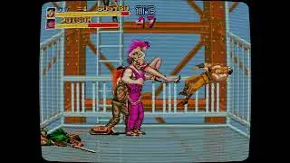 2025 SEGA Megadrive / Genesis 