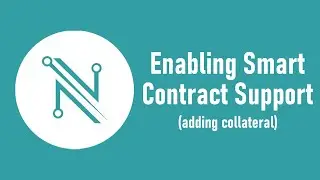 Enabling Smart Contracts In Nami Wallet (Adding Collateral)