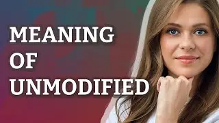 Unmodified | meaning of Unmodified