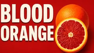 [Blood Orange | Magic Of Blood Orange 