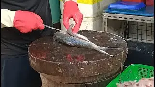 MILKFISH  FILLET CUTTING SKILLS