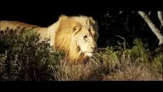 Greys Gift Lodge - Your African Home
