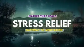 Relaxing Music | Ocean Stress Relief Deep Sleeping Music | Study | Islamic Nasheed, Meditation Music