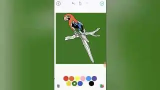 KUNG FU GIRL AND BIRDS DESIGN DRAWING