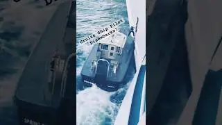 Port Pilot Disembarking a Cruise Ship: Incredible Skill in Action! #foryou #trending #travel