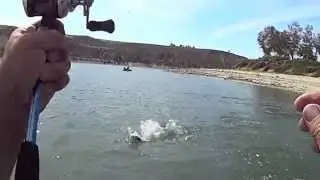 Catching Large Mouth keeper Bass on Swim Beach Side Castaic Lagoon