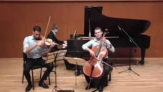Brahms Piano Trio no. 1, 1st mvt. - Wundertrio