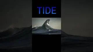 Wave vs Tide vs Ocean currents #shorts #ocean #planet #earth #water
