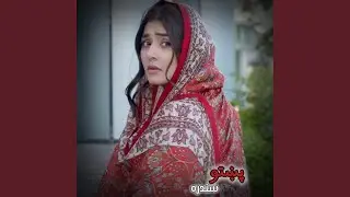 جینۍ ولې ګیلمنه یې نوی پښتو سندره