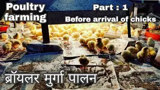 Broiler Management | Part:1 Preparation before arrival of chicks | Poultry farming