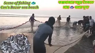 OMG|Big Net Fishing Scene at Cox's Bazar Sea Beach|সমুদ্রে মাছ ধরার দৃশ্য| Fishing lover