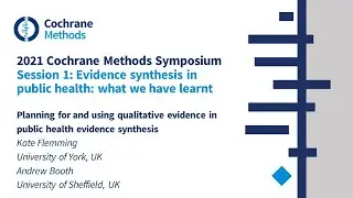 Planning for and using qualitative evidence in public health evidence synthesis