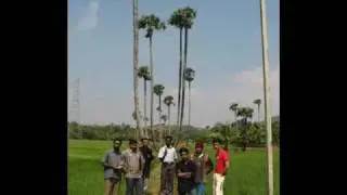 THE GOVERNMENT LAW COLLEGE,THIRUVANANTHAPURAM,KERALA,2003-2008 BATCH VIDEO..