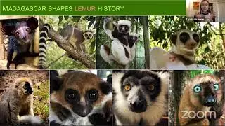 Duke Lemur Center | Lemur Science 101