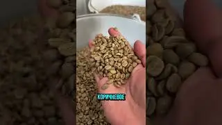 Так вот как выглядит кофе! Оно бледное, не коричневое 🚀🔥 Спасибо за экскурсию @grossa.coffee