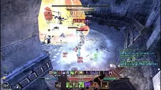 OVERPOWERED STAMINA WARDEN 1vX - READY FOR GREYMOOR!!! | ESO PvP DragooX