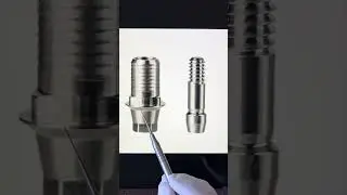 Dental Implant Abutments 