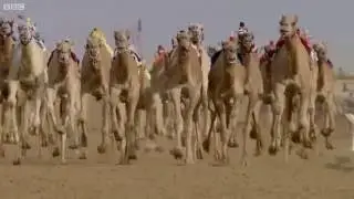 Darude - Sandstorm (unofficial music video)