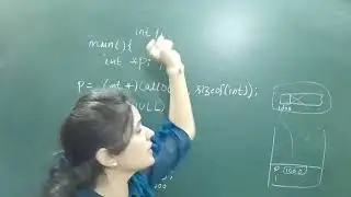 free function in c |  dynamic memory allocation