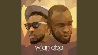 W'ani Aba (feat. Bisa Kdei)