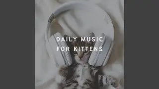 Everyday Noise for Kittens