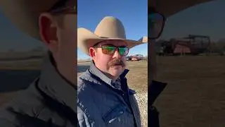 Update on how the feedlot steers are doing #Feedlot #Cattle #Ranch #Ranching #KeepRanchin