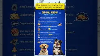 DID YOU KNOW ABOUT DOGS #dogshorts