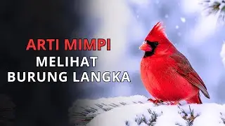 Arti Mimpi Melihat Burung Langka