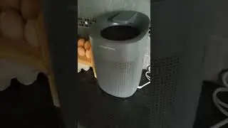 Amazon Alexa FAIL UK