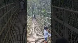 Vaipur Hanging Bridge Mallappally | Pathanamthitta