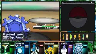 Pok&eacute;mon Black - Gym Leader Drayden