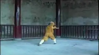 Shaolin   Tong Bei Quan   Shi De Yang HQ