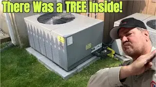 Tree Growing in the Condenser?! Central AC Maintenance Disaster Uncovered!