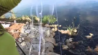 Collecting water samples for testing