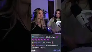 Les probl&egrave;mes de communication entre BAGHERA et HORTY