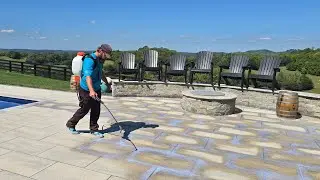 Sealing Stone Pavers: Best Practices for Polymeric Sand