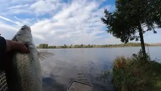 Фидер на стоячем водоеме. Тетеринское водохранилище. Раздача 