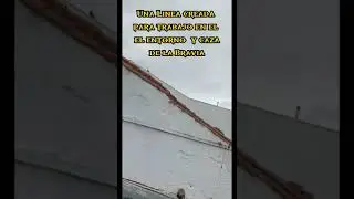 El Buch&oacute;n Zuritero Ladr&oacute;n de Pe&ntilde;arroya 🗻 Espa&ntilde;a🇪🇸