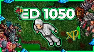 ED 1050 Hunt Solo Ingol Surface (No Runes) 5.4kk/h Raw + 2kk Profit - Tibia Hunt [13.40] #tibia