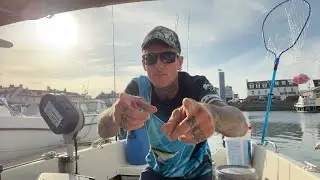 Boat FishIng Livestream! - Target Fish are Bream, Scad and Mackerel! - Sea Fishing UK