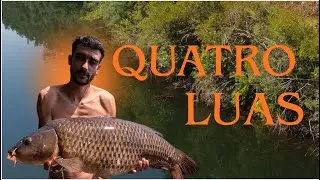 Campismo SELVAGEM🏕️+ Pesca á CARPA : Vários Arranques em 4 Noites! || Correia Fishing  || 4K