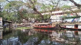 Calm Backwaters of Alleppey