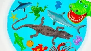 Learn Sea Animals Names For Kids New Toy Videos For Children Ocean Animal Names