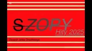 ZJD- Pachołek