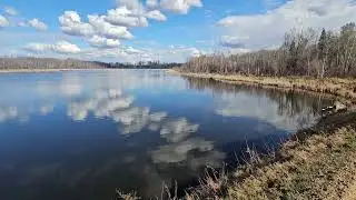 Unwind, relax, & reset with this #Nature walk  in #Northern #Alberta #Canada. #Calm & #Mentalhealth