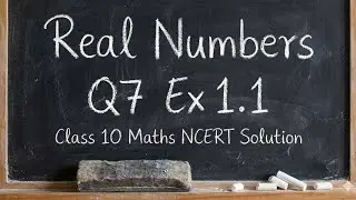 Class 10 Maths | Real Numbers | Exercise 1.1 Q7 Solved | NCERT