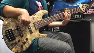 dragonfly CS-5/345 Custom Buckeye Burl / Light Ash フレーズ1