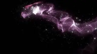 BUTTERFLY EFFECTS FOR EDITS