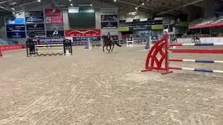 KTO Verdi -2007 mare (Verdi TN x Opan) - training Sentower
