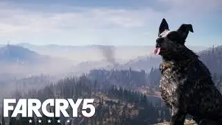 Far Cry 5 | Ambient Music: Part 1 | Loop Version | Audio Only